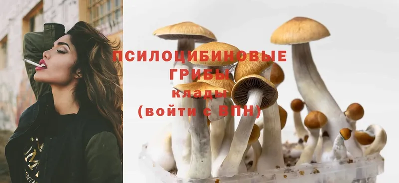 Галлюциногенные грибы Magic Shrooms  Ак-Довурак 